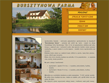 Tablet Screenshot of bursztynowafarma.comweb.pl